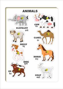 VMTS ANIMAL0 Educational Board Games