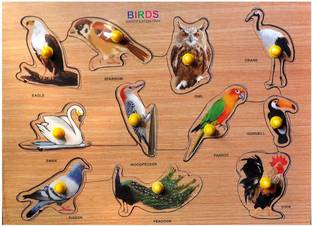 SHALAFI Identification Birds Peg Board Puzzle for Kids with Picture Early Learning Toys