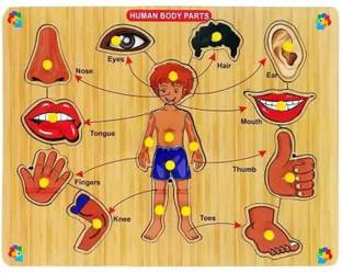 SHALAFI Body Parts wooden Jigsaw Preschool & Playgroup Educational Puzzle Learning Toys