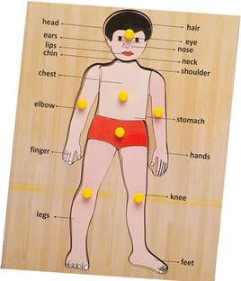 Cyrus Best Puzzle Human Body Parts Puzzle Games Learning Educational Board for Kids