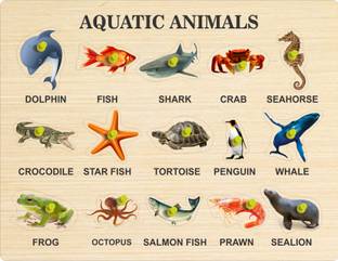 MECDOIT INTERNATIONAL Wooden Puzzle of Aquatic Animals Name with Image With Laser cutting