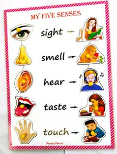 PETERS PENCE Wooden My Five Senses with Matching Images Puzzle for Kids Pre Primary Education