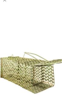 Radhe maa Abhishek pareek Live Trap