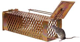 udayog RAT pinjra,Rat/Mouse/Rodent control Small Iron Trap/Catcher Cage( pack of 1) Live Trap