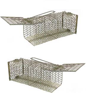 greengrow Big Size Rat/Mouse/Rodent Trap Cage (Rustic Copper, Large,- 2 Pieces Live Trap
