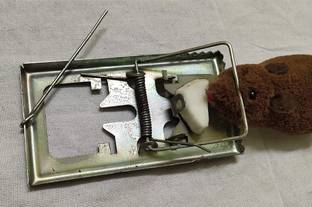 CHILLATAI Metal Rat / Rodent / Mouse Trap (2) Snap Trap