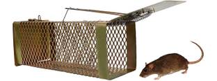 Dsom Rat Trap cage/Big Iron Rat Trap for Catching Rats/Mouse Catcher Box/Chuha Live Trap