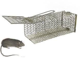TaNa Rat Trap -Mouse/ Small Iron Trap/Catcher Cage Rustic Copper(PACK OF 1) Live Trap