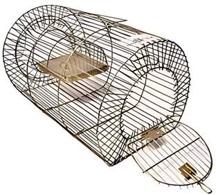 EDEN BLOOM Advanced Rat Trap for Rodent Control ( Pack of 1) Ultrasonic Rodent Repellant