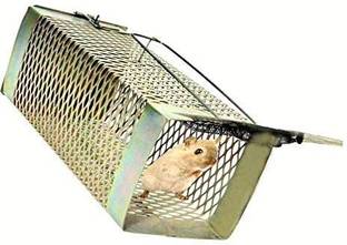 Shafz wood gallery Iron Rat Trap Cage Iron Rat catcher Bars Design Heavy Quality Live Trap