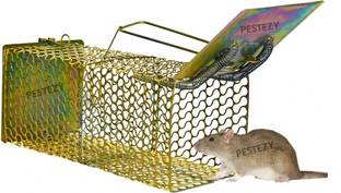 PESTEZY Mouse/Rat Trap cage Chuha Pakadne ka Pinjara Cross Design Heavy Quality (Large) Live Trap