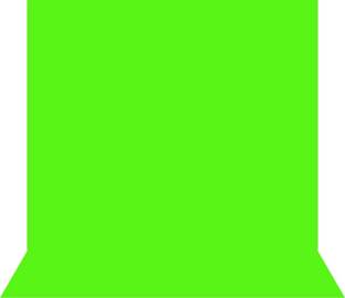 Stela 6 X 10 FT Green Screen Backdrop Photo video Studio Background Reflector