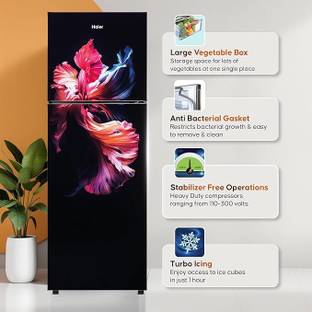 Haier 240 L Frost Free Double Door 2 Star Refrigerator