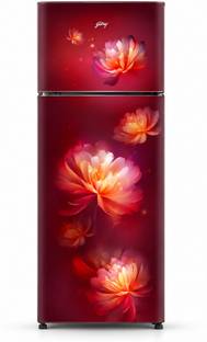 Godrej 244 L Frost Free Double Door 2 Star Refrigerator