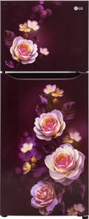 LG 242 L Frost Free Double Door 2 Star Refrigerator