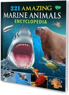 Children Encyclopedia - Amazing Marine Animals Encyclopedia | Encyclopedia For Kids