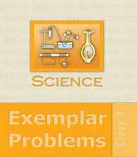 Ncert Science Exemplar For Class 10
