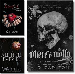The Made Series Books Collection (The Sweetest Oblivion, The Maddest Obsession, The Darkest Temptation), Danielle Lori, Paperback, English