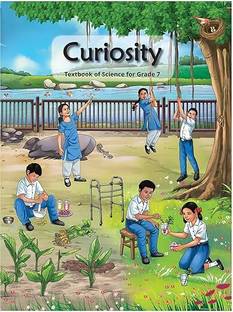 NCERT Curiosity CLASS 7, Textbook Of Science 2025