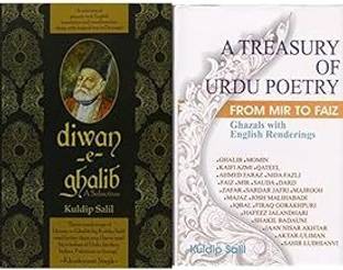 Diwan-E-Ghalib + A Treasury Of Urdu Poetry (Set Of 2 Books)