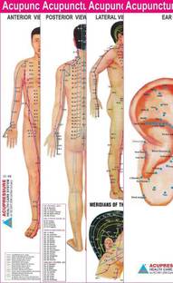 Acupuncture Points Charts - Set Of 4