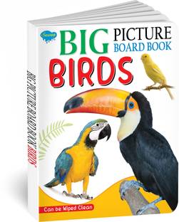 Big Picture Board Book Birds | Can Be Wiped Clean