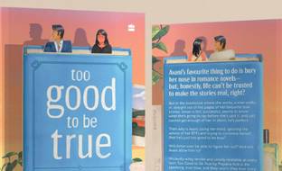 Too Good To Be True English Novel