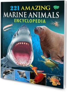 Children Encyclopedia - Amazing Marine Animals Encyclopedia | Encyclopedia For Kids
