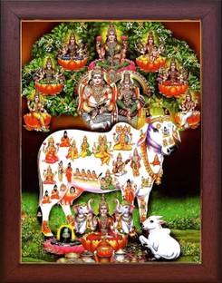 SAI BALAJI ACRALICS Gomatha Cow Kamdhenu Kubera Kuberan Lakshmi Photo Frame Religious Frame