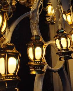 Homesake 14 LEDs 5 m Gold Steady Bulb Rice Lights