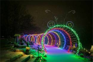 Business Squad 200 LEDs 7 m Multicolor Steady String Rice Lights
