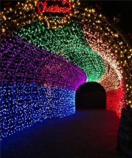 Business Squad 200 LEDs 7 m Multicolor Steady String Rice Lights