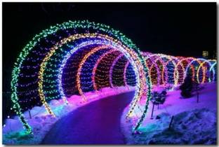 Business Squad 200 LEDs 7 m Multicolor Steady String Rice Lights