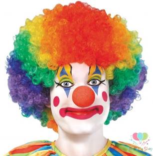 FUNCART Multicolored Clown Wig