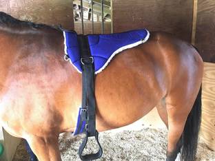 BLESSING PET PRODUCT BLESSING COMBO SET OF HORSE RIDING SADDLE Saddle