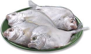 Thai Sun Dried Silver Belly / Mullan / Pony Fish/ Kaara, Kaaral Podi / Kurichi Whole