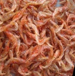 zmz Mangalore Karavali Dry Fish Fresh Dry Prawns/Shrimp Fish Young Fish Food Clean