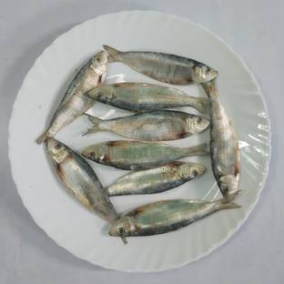 AL-HAQQ Sardine | Chala | Mathi Dry Fish Whole