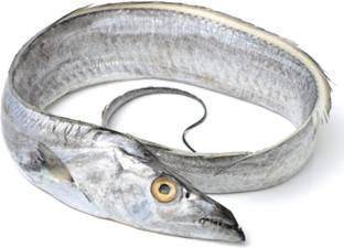zmz Zulfi DRY FISH Dry Ribbon Fish / Talayan / Snake Fish / Valameen Slices