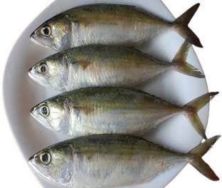 zmz Dry Fish Dry Mackerel, Aiyla Meen, Bangda, Kembung, Salted Cleaned Supreme