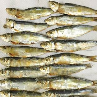 zmz Zulfi Dry Sardine / Mathi / Bhutai Tarli / Nonalai, Peichalai / Nna Kavala Whole
