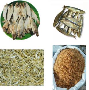 AL-HAQQ Dry White Bait(100g) + Dry Croaker(100g) + Small Prawn(100g) + Dry Sardine(100g) Whole