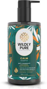 Wildly Pure Anti-Dandruff 12 Oil Shampoo with Piroctine Olamine for Ithcy Scalp No Sulphate