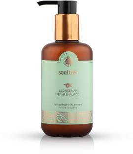 SoulTree Licorice Hair Repair Shampoo