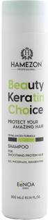 HAMEZON PROFESSIONAL SMOOTHING PROTEIN HAIR SHAMPOO
