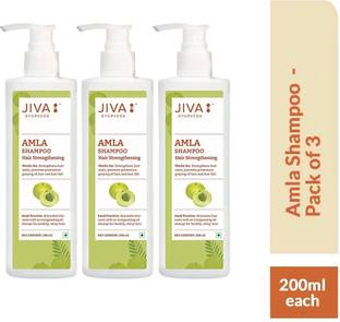JIVA AYURVEDA Amla Shampoo - Ayurvedic Shampoo For Preventing Hairfall & Breakage - 200 ml - Pack of 3