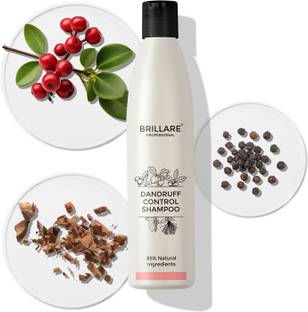 BRILLARE Dandruff Control Shampoo For Rough, Dandruff Prone Hair | Shampoo 300 ml | 100% Vegan | No Harmful Chemicals | Free From Paraben, Formaldehyde & Petroleum Wax