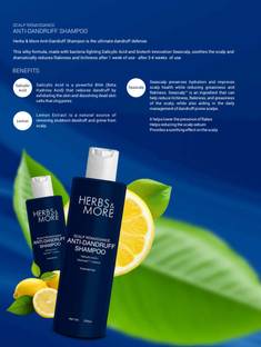 NETSURF Herbs & More Anti Dandruff Shampoo Scalp Renaissance (Salicylic+Seascalp+Lemon)