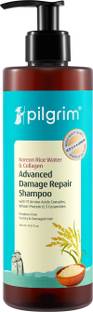 Pilgrim Korean Rice Water & Collagen Advanced Damage Repair Shampoo|Stronger Hair