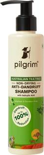 Pilgrim Australian Tea Tree Hair Shampoo for Dandruff|Itchy Scalp|Men and Women